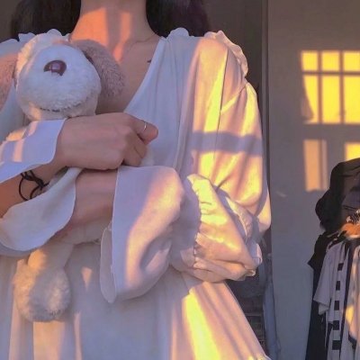 宝石宠物电影 甜品舞公主