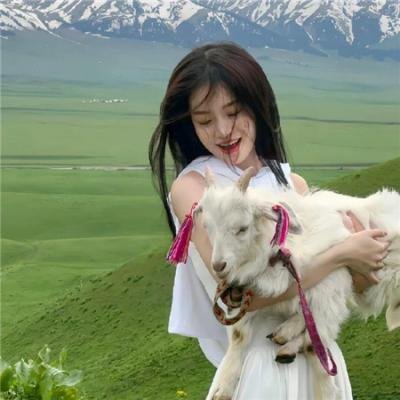 侠义美英雄
